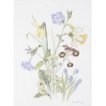 W Walsh (British, 21st Century), Botanical Study of Spring Flowers, watercolour,