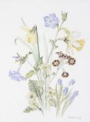 W Walsh (British, 21st Century), Botanical Study of Spring Flowers, watercolour,