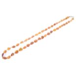 An amber polished beaded necklace with clasp 63cm long