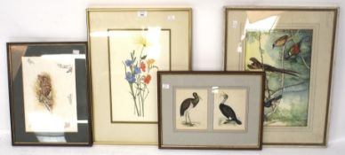 Three modern watercolours and a print of birds and flowers.