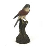 A contemporary resin model of a sparrow hawk.