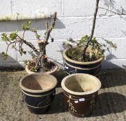 Four contemporary pottery plant pots.