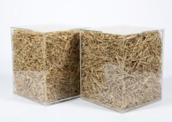 A pair of contemporary side tables in the form of cube Perspex boxes filled with straw and ears of