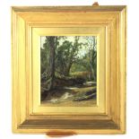 Late 19th Century School, wooded river landscape, oil on canvas.