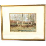 Early 20th Century British School, wooded lakeside landscape.