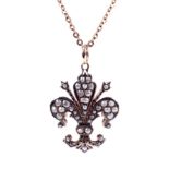 A fleur-de-lys pendant and chain.