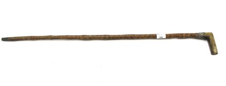 An antique walking cane with a horn handle.