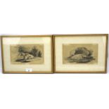 A pair of 19th century engravings featuring cows. Both with overpainted areas, unsigned, 20.