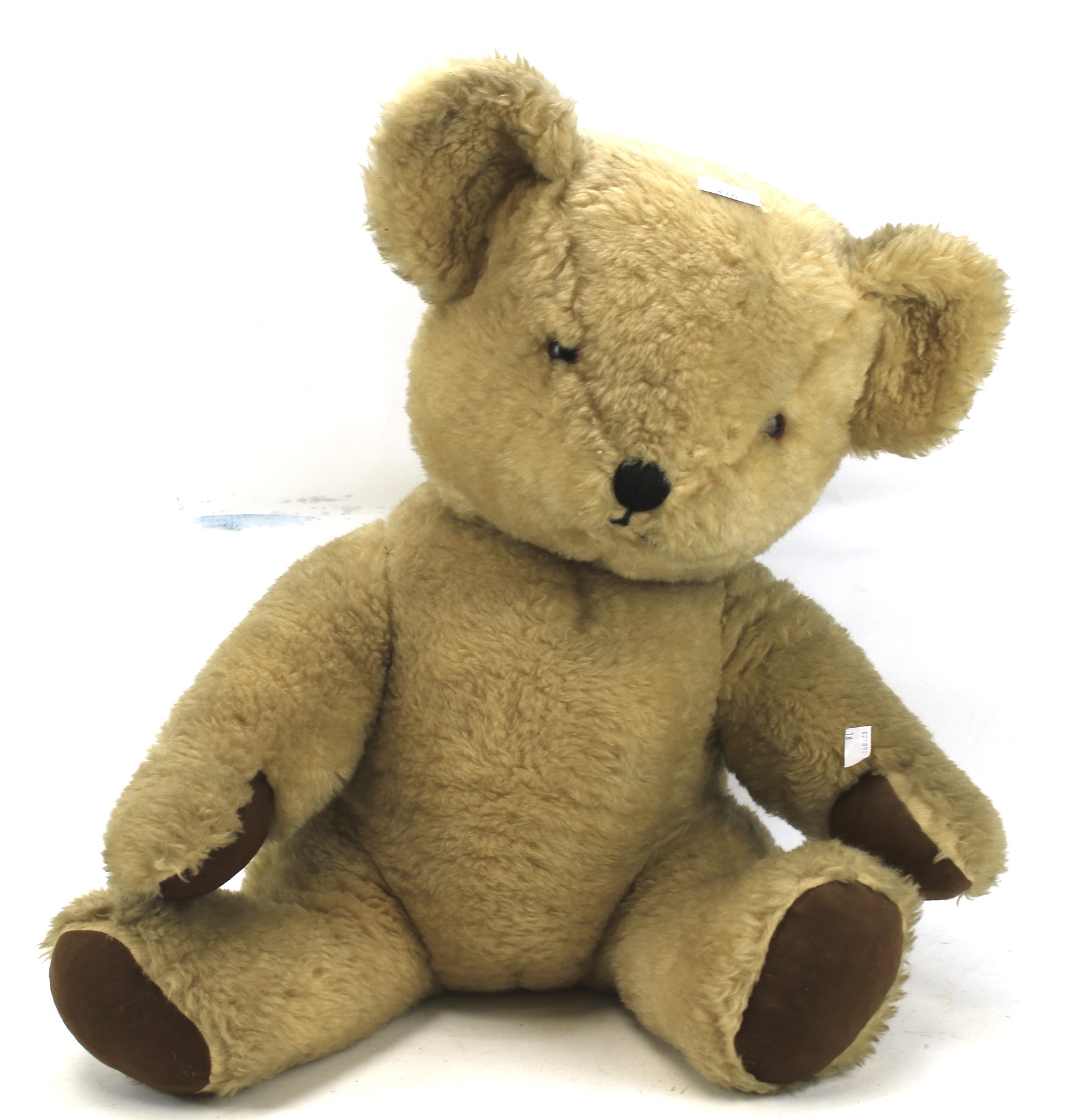 A Chad Variety teddy bear.