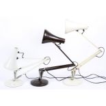 Three anglepoise table lamps in brown cream and white. Bearing angelpoise lighting labels.