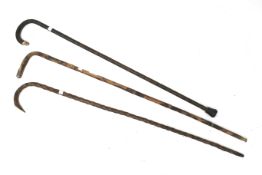 Three walking sticks.