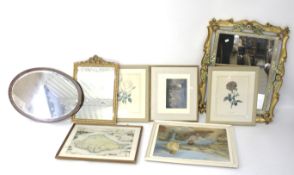 An assortment of paintings, prints and three gilt framed mirrors.