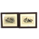 A pair of J Stewart coloured engraving. Both depicting pheasants and other birds, 21cm x 13.