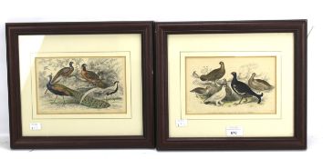 A pair of J Stewart coloured engraving. Both depicting pheasants and other birds, 21cm x 13.