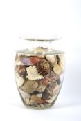 A large glass vase containing shells.