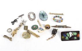 A collection of 19th & 20th century brooches.