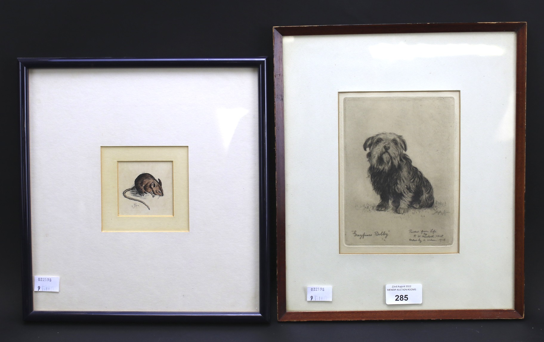 A 20th century engraving of a dog and a coloured print of a mouse.