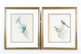 John Gould (late 19th/early 20th Century), two ornithological hand coloured lithographs of birds.