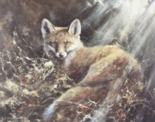 After Nick Cawston (1959-2006), a limited edition print of a fox.