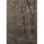 Attributed to Ernest Herman Elhers (1858-1943), Autumn Woods, oil on board.