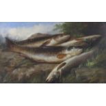 John Bucknell Russell (1819-1893), Trout resting on a River Bed, oil on board. Signed J.