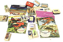 A collection of cigarette cards.