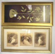 Two framed and glazed prints. One of a ballet dancer in three poses and a study of a potted lily.