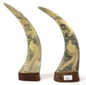 A pair of carved animal horns. Decorated with cloud dragons and a phoenix.