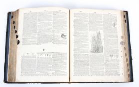 A 19th century standard dictionary of the English language.