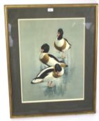 Raymond C Watson, signed print of three mallard ducks. Framed and glazed. 68cm x 86cm (incl.