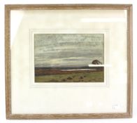Edward Francis Wells, a signed watercolour depicting a cloudy landscape.