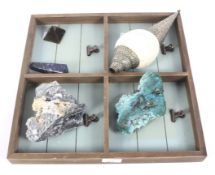 An assortment of shells and minerals.