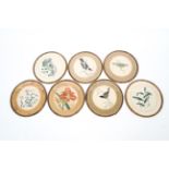 Seven hand coloured botanic and bird plates, late 18th/early 19th century.
