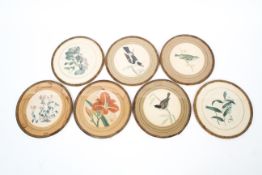 Seven hand coloured botanic and bird plates, late 18th/early 19th century.