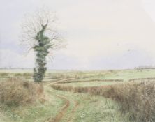 Martin Alford (21st Century), West Compton and Watery Lane (February), watercolour.