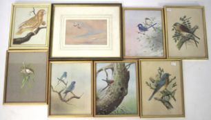 Seven framed prints of birds perched on branches.