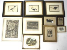 An assortment of 19th and 20th century prints.