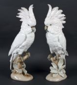 Two 20th century Royal Dux models of cockatoos.