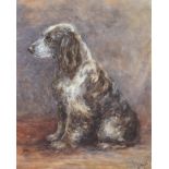 Early 20th Century School, watercolour portrait of a seated spaniel.