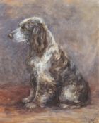 Early 20th Century School, watercolour portrait of a seated spaniel.