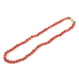 An early 20th century red coral slightly barrel shaped bead necklace.