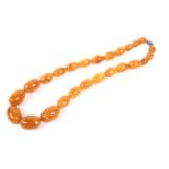 An imitation-amber oval bead necklace. The mottled beads graduated approx.