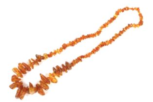 A Baltic amber large baroque shaped and tumble polished necklace.