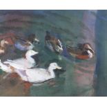 Neil Murison (1930), Ducks, watercolour and oil/gouache. Signed lower right, framed. 26cm x 21.