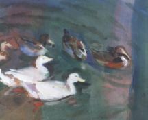 Neil Murison (1930), Ducks, watercolour and oil/gouache. Signed lower right, framed. 26cm x 21.