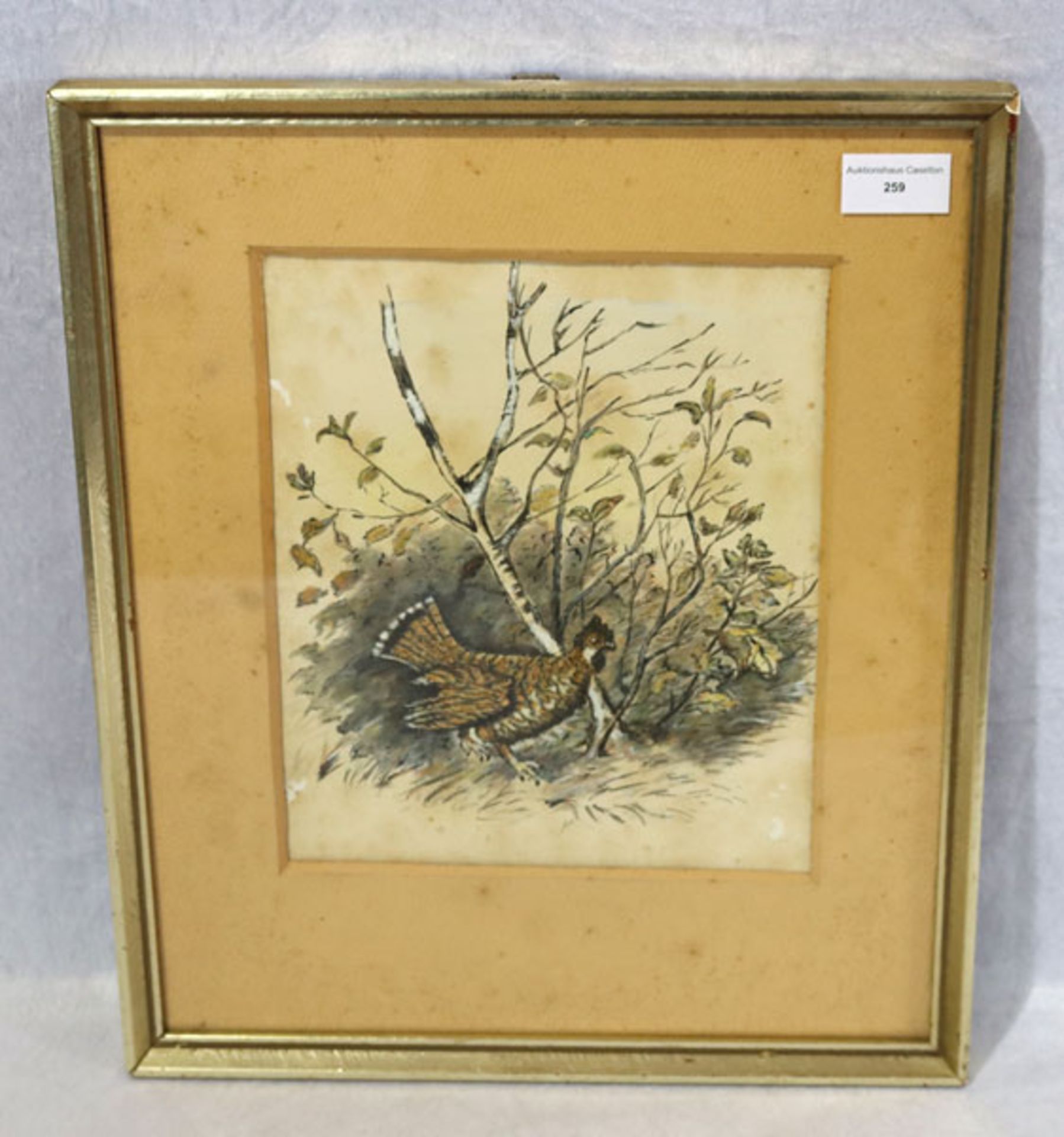Zeichnung/aquarelliert 'Wildvogel', Blatt und Passepartout fleckig, unter Glas gerahmt, Rahmen