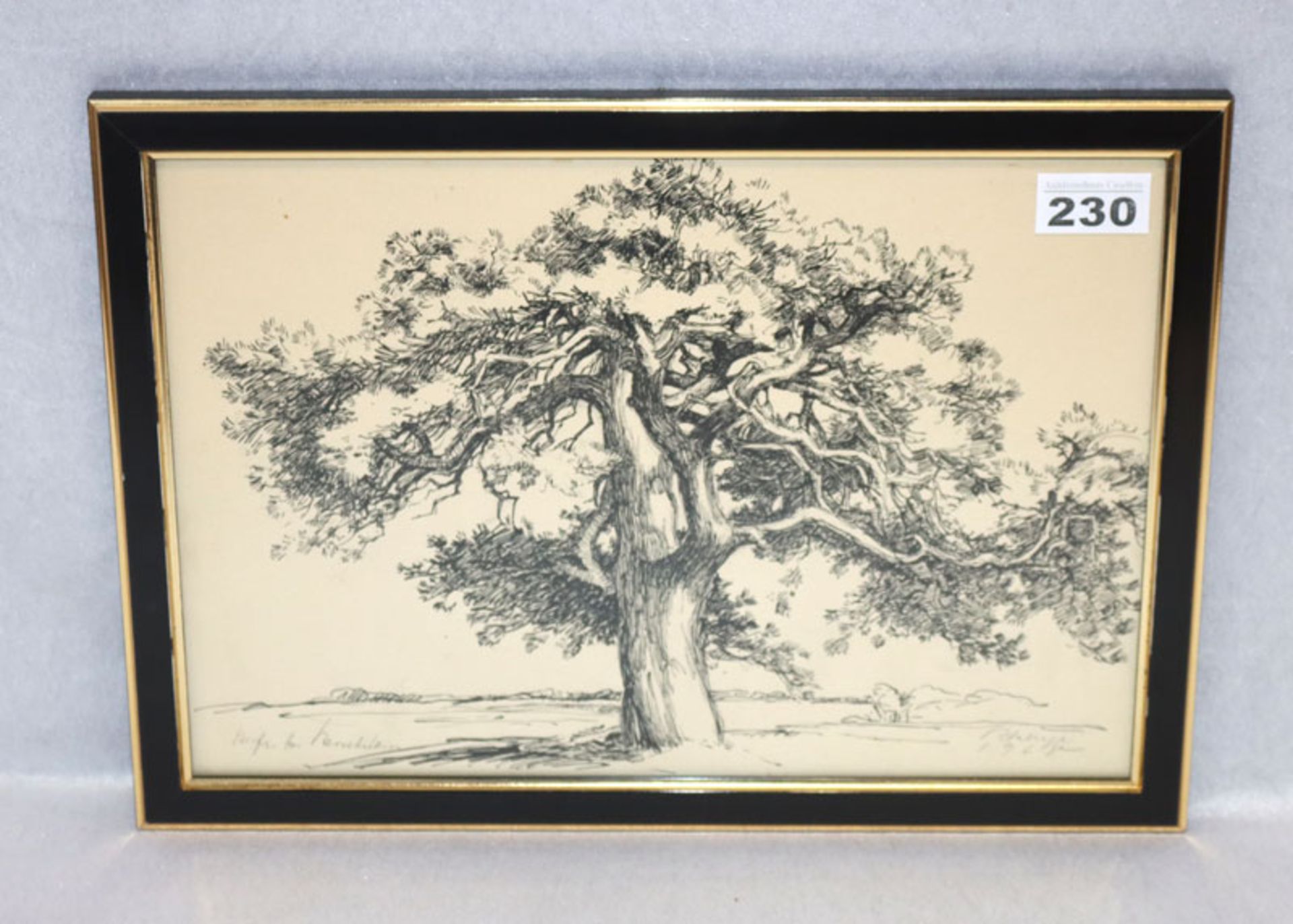 Zeichnung 'Baum', signiert R. Kluge, 1968, * 1890 Borna + 1980, Studium an der Akademie für
