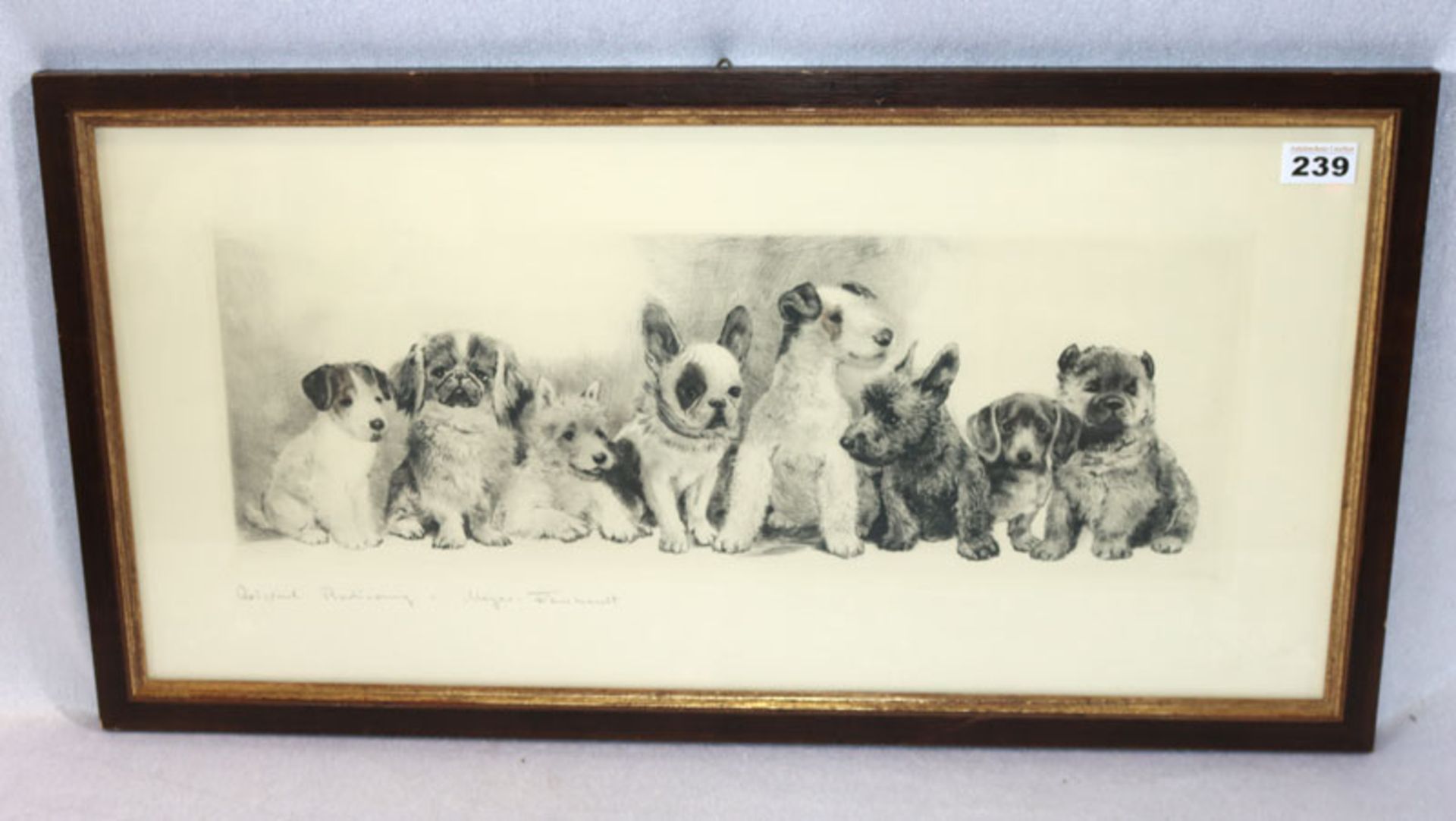 Original Radierung 'Acht junge Hunde', signiert Meyer-Eberhardt, Kurt, * 1895 Leipzig * 1977