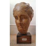 A life-size pottery head of Hygeia, 11" high on wooden base.