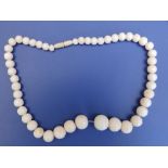 A white coral graduated bead necklace, 18".